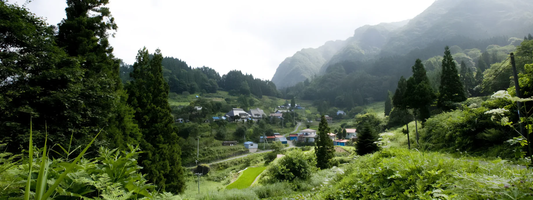 八幡屋礒五郎のルーツである西山地域